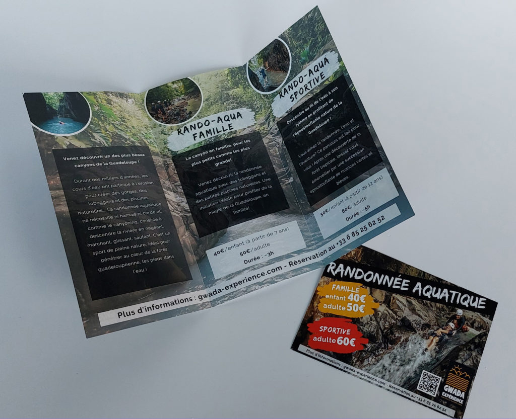 brochure + flyer